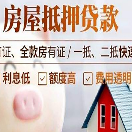 阿拉善贷款助贷公司新渝启服成立时间久